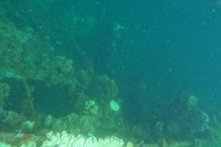 RÉCIF ET ÉPAVE - WWII JAPONAIS ET JARDIN DE CORAIL SNORKELING