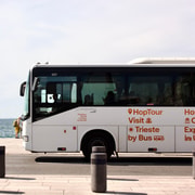 Trieste Bus Tour with Audio Guide