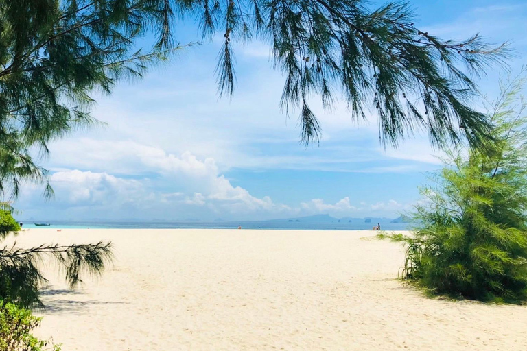 Phuket: Phi Phi Islands Early Bird Speedboat Tour & Buffet