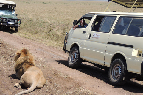 TSAVO EAST: 1 DAY TRIP FROM MOMBASA