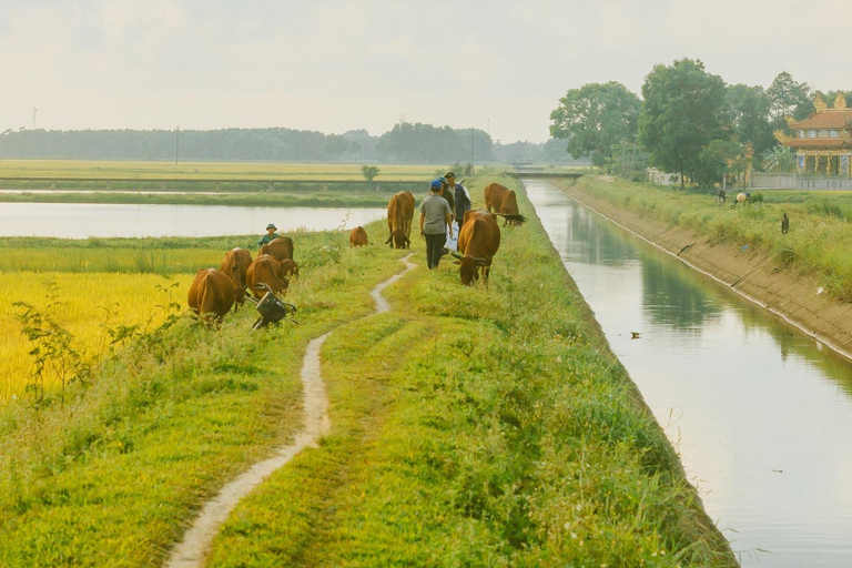 Hanói: salsa de soja, pueblo de los vermicelli y pagoda Thang NghiemTour privado: pueblo de la salsa de soja, pagoda, pueblo del incienso y sombreros