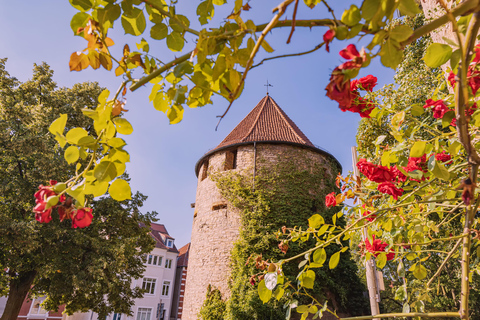 Osnabrück: Express wandeling met een localOsnabrück: 2 uur durende wandeling met een local