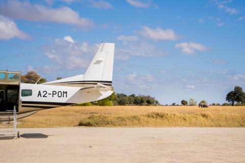 45-Minute Cessna Flight over the Okavango Delta from Maun