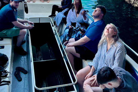 Zakynthos: Ultimate Experience to Shipwreck, Caves & Turtles Shipwreck and Turtles: Semi private tour