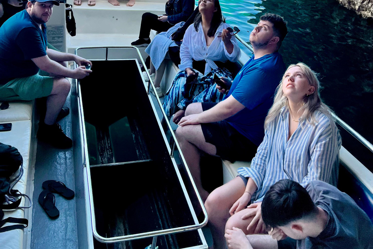 Zakynthos: Ultimate Experience to Shipwreck, Caves & Turtles Shipwreck and Turtles: Semi private tour
