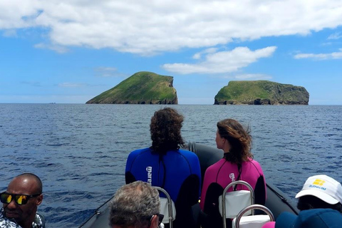 Insel Terceira: Ilhéu das Cabras Bootstour + SchnorchelnVon der Ilha Terceira: Ilhéu das Cabras Schnorchel Bootstour