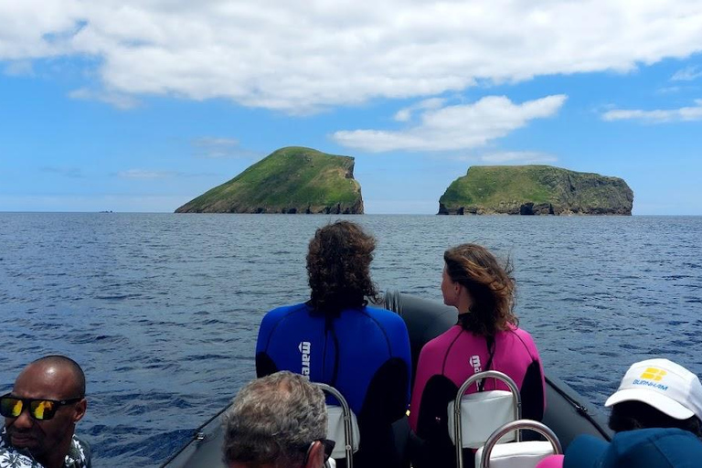 Insel Terceira: Ilhéu das Cabras Bootstour + SchnorchelnVon der Ilha Terceira: Ilhéu das Cabras Schnorchel Bootstour
