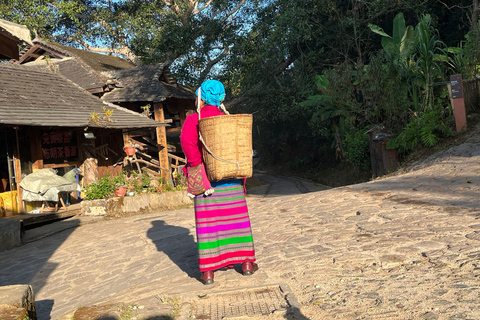 جبل جينغماي (اليونسكو) | غابات الشاي القديمة وقرى دايجبل جينغماي (اليونسكو): غابات الشاي القديمة وقر