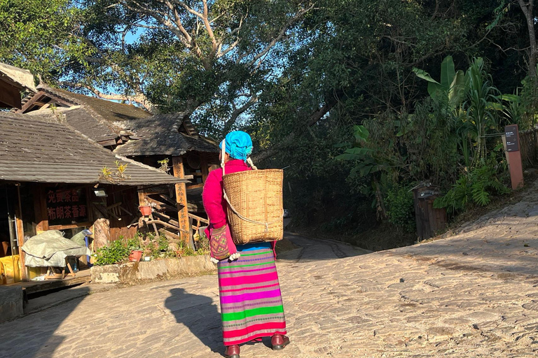 جبل جينغماي (اليونسكو) | غابات الشاي القديمة وقرى دايجبل جينغماي (اليونسكو): غابات الشاي القديمة وقر