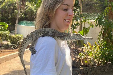 Mombasa: Visita a Mamba Village Crocodiles Feeding Experience.