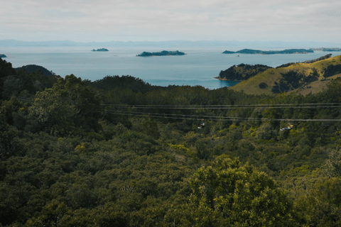 Auckland: Waiheke Island Man O' War Forest Flight Zipline Auckland: Waiheke Island Man O' War Zipline Adventure