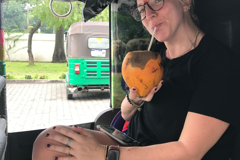 Explore Colombo with a Group