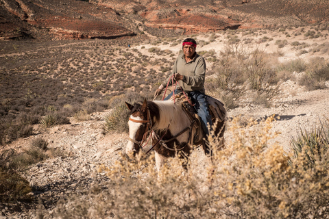 Cave Creek: Horse Ride Tour in National Forest & Desert 1-Hour Horse Ride Tour in National Forest & Desert