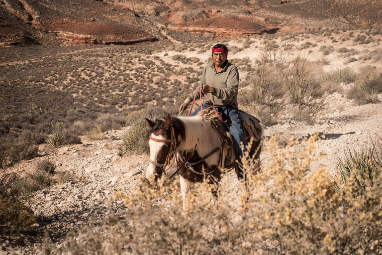 Cave Creek: Horse Ride Tour in National Forest & Desert 1-Hour Horse Ride Tour in National Forest & Desert