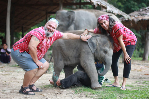 Chiang Mai: Elephant Sanctuary, Waterfall & Bamboo Rafting
