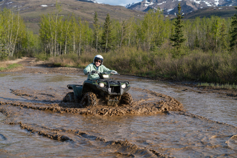 Denali ATV Wilderness Adventure - Guided ATV Tour Enclosed Side by Side ATV - 2 passengers