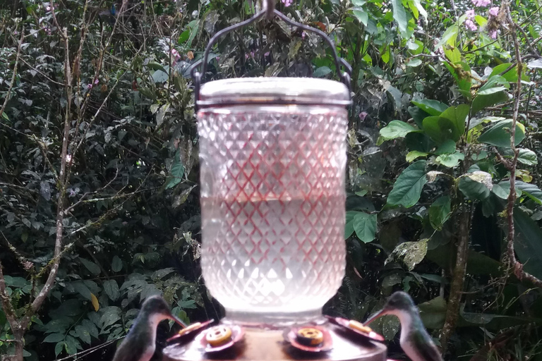 Quito: Waterfall, Hummingbirds, Butterfly Tour, Equator line