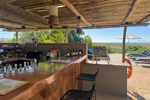 2-Day Safari with Big 5 Game Drives, at amazing 4-Star Lodge Wildlife Lions Safari 2-day Garden Route