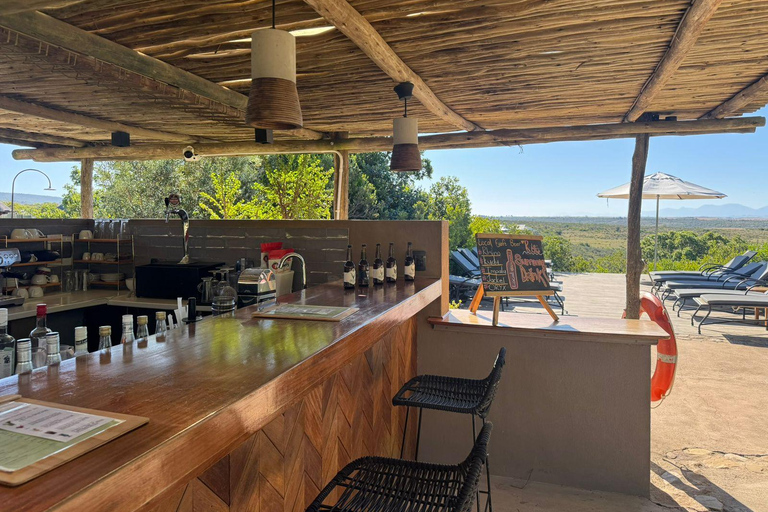2-Day Safari with Big 5 Game Drives, at amazing 4-Star Lodge Wildlife Lions Safari 2-day Garden Route
