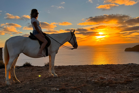 Isla de Porto Santo: Paseos a caballo180 min Aventura