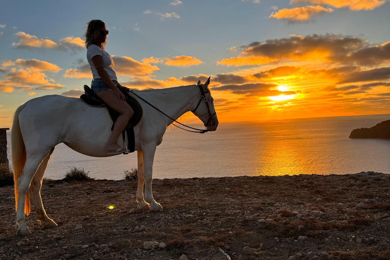 Isla de Porto Santo: Paseos a caballo180 min Aventura