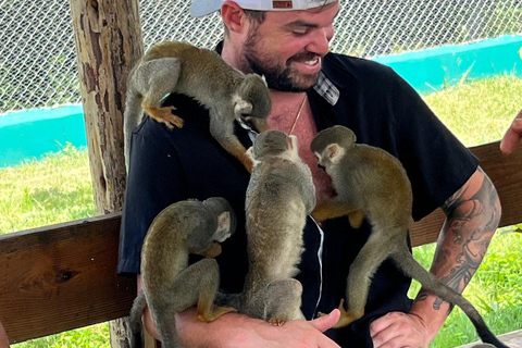 Puerto Plata: Saimiri Monkey Sanctuary, Exotic Flora, and Tropical Oasis