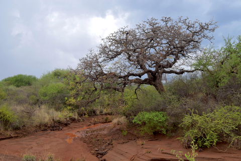 Lake Chala Tour: Wandelen en/of kajakkenMeer van Chala: Wandelen naar de grensrots