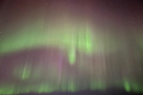 Desde Akureyri: Excursión de Caza de Auroras Boreales con Traslado