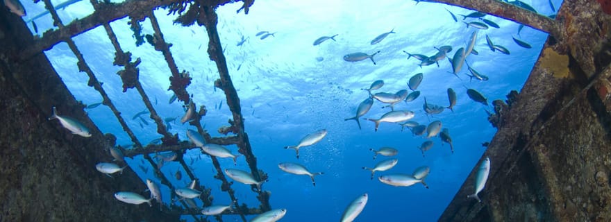 Safari en jet ski jusqu'au bateau Sierra des Thermomylae