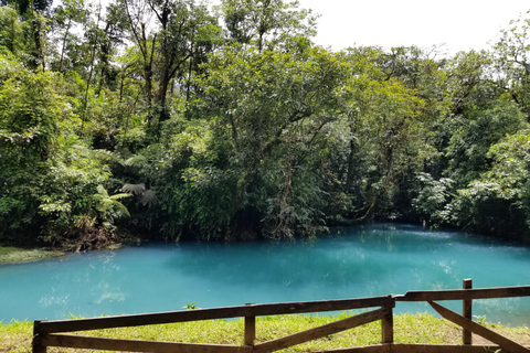 La Fortuna: Rio Celeste Waterfall and National Park Tour