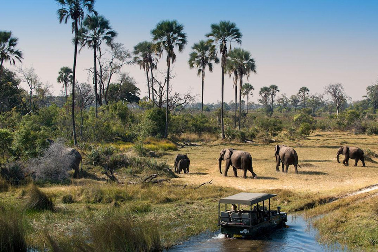 Entdecke die Majestät des Tarangire Nationalparks: Ein Ein-Tages