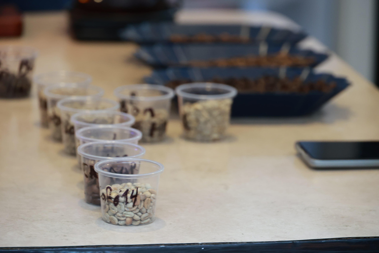 Guatemala City: Volcano-Grown Coffee Tasting Experience