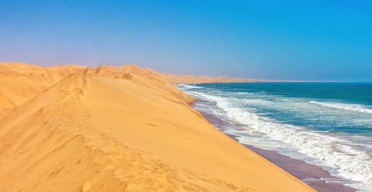 Doha: Dune Safari, Camel Ride, & Sandboarding with Transfer photo 9