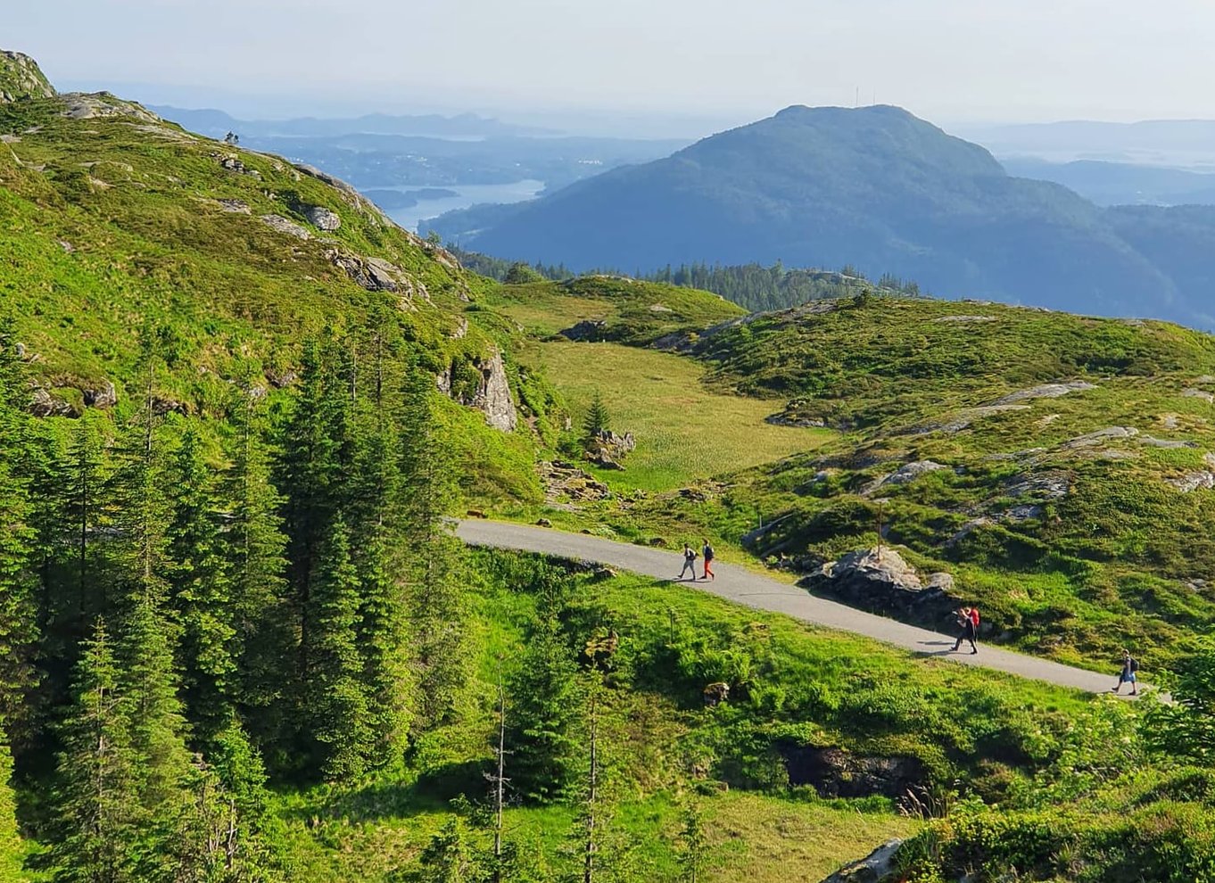 Bergen: Fjeldvandring på toppen af Bergen - Offentlig tur