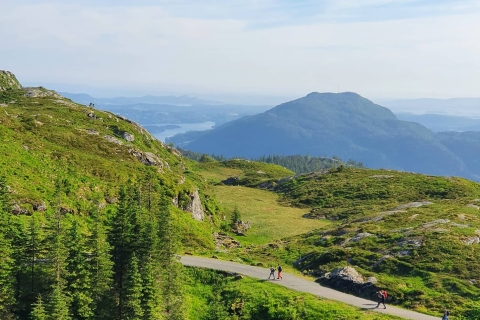 Bergen: Mountain hike on top of Bergen - Public tour