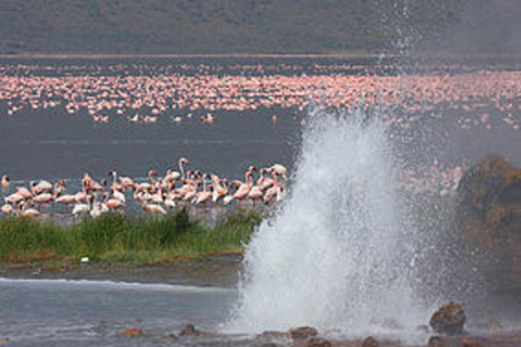 Nairobi: Lake Bogoria Flamingos Day Trip with Hotel Pickup