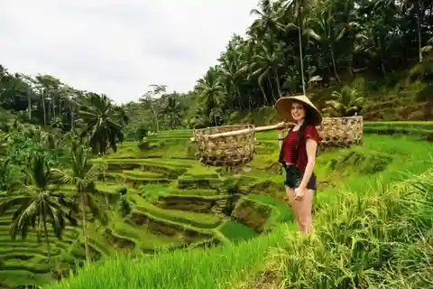 Visite d'une jounée à Ubud Tout compris