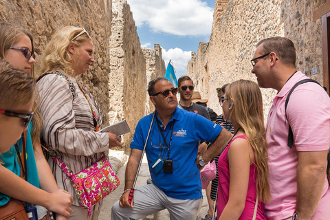 Rome: Pompeii Day Trip Guided Tour with New Excavation Areas
