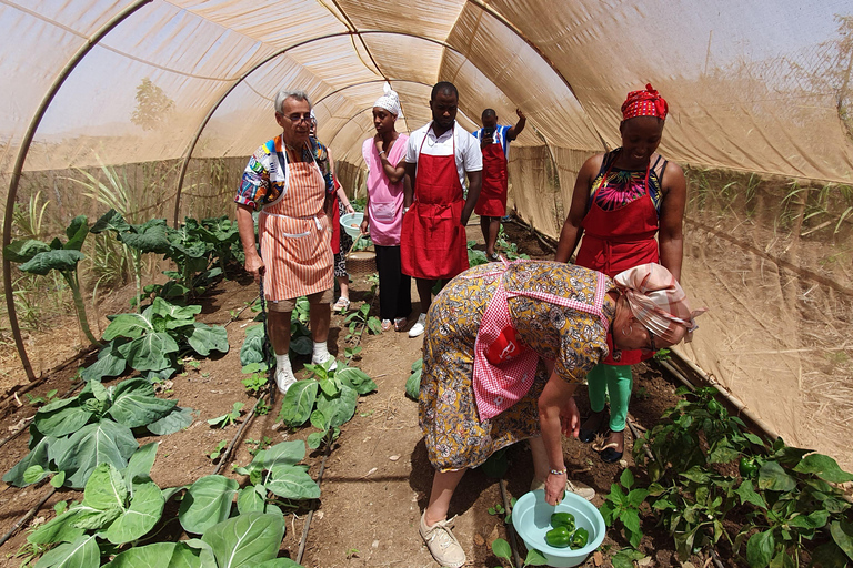 Assomada: wycieczka po farmie z lunchem i lekcją gotowania