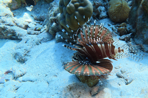 Phuket: Scuba Diving Try Dive with Hotel Pickup