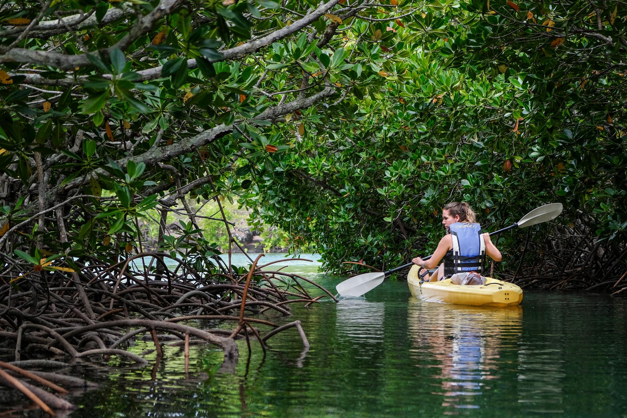 Abenteuerliches Mauritius: private Reise mit Hotel und Aktivitäten