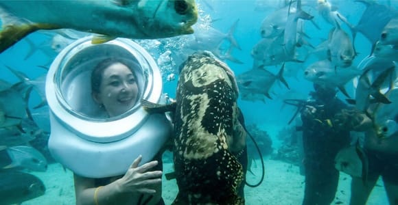 Phu Quoc: Sea Walking & Giant Fish Discovery by Speedboat