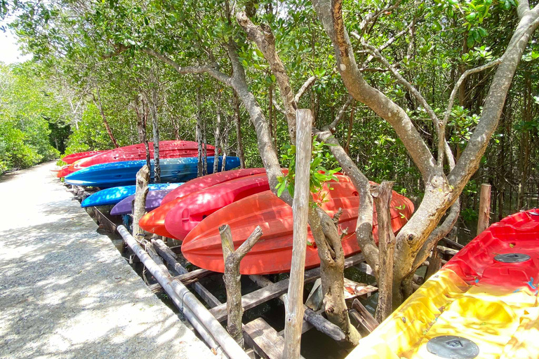 Koh Lanta:Excursión de medio día al Manglar + Campamento de Elefantes