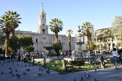 Arequipa: Las Rocas Quad Tour and City Walking Tour