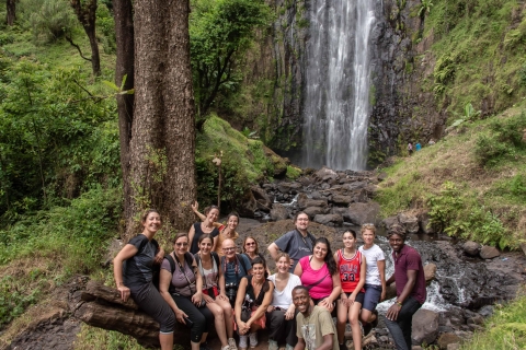 Dagtocht naar Materuni watervallen en koffietour in Tanzania