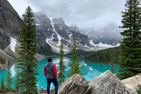 Banff & Yoho: Moraine, Louise, Emerald Lake, Canyon & Falls