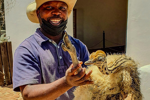 LE CAP : BALADE EN QUAD DANS L&#039;OSTRICH RANCH ET VISITE DES AUTRUCHESLe Cap : Balade en quad et visite d&#039;un ranch d&#039;autruches