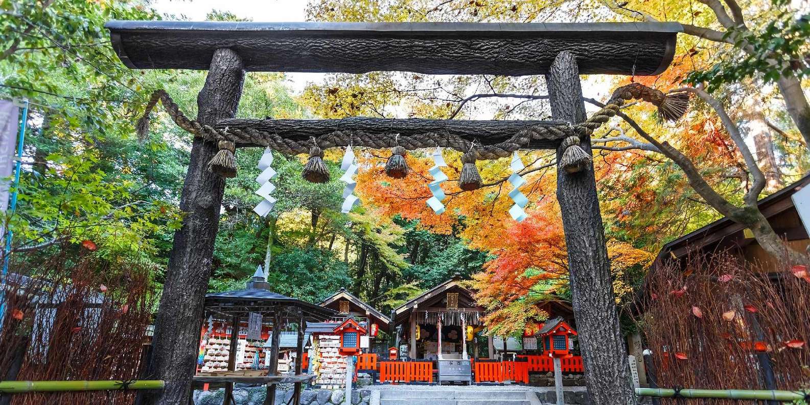 Kyoto experience — temples, geisha, bamboo grove — image 35