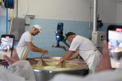 Reggio Emilia: Parmigiano & Balsamic Vinegar Tasting Tour
