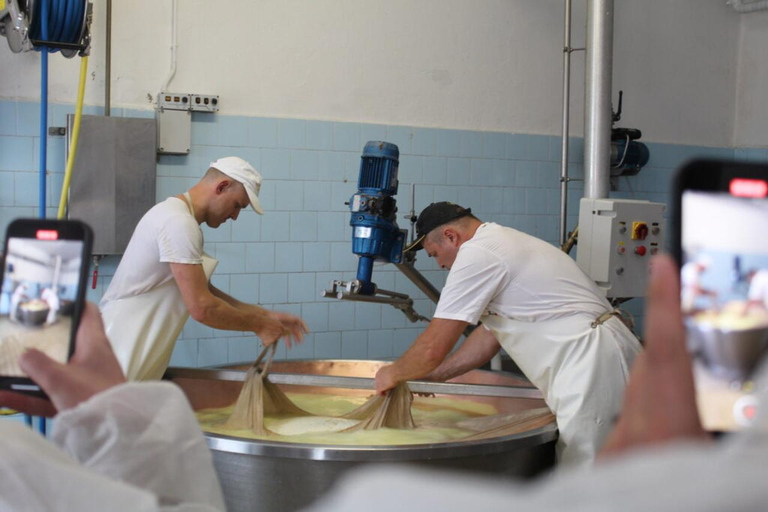 Reggio Emilia: Parmigiano & Balsamic Vinegar Tasting Tour